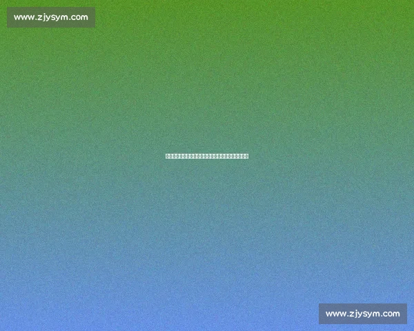 十年前德甲惊艳首秀！孙兴慜经典进球回顾与蜕变之路