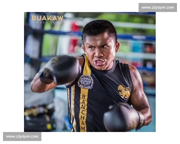 播求对决一龙三番战背后的恩怨与荣耀终章拳坛传奇再起风云巅峰