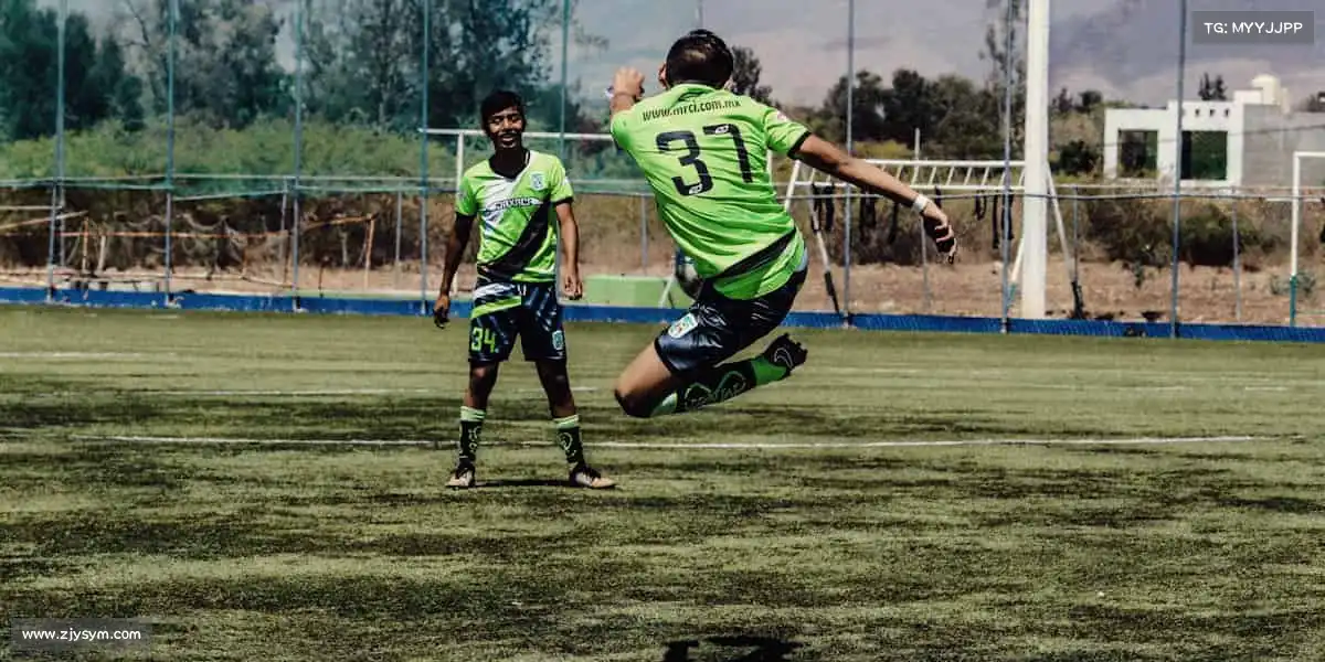 行业领先的理由